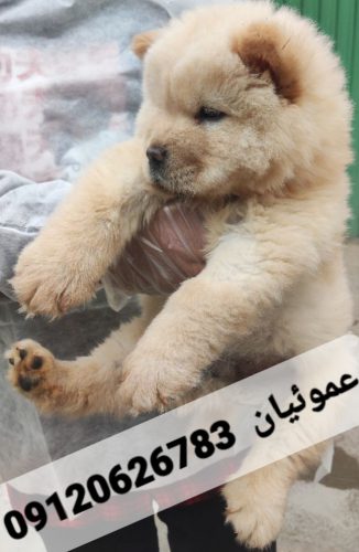 -5951580682679598897_121