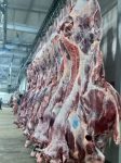 گوشت گوساله وگوسفند کشتار روز