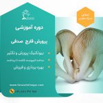 دوره-آموزشی-قارچ-صدفی