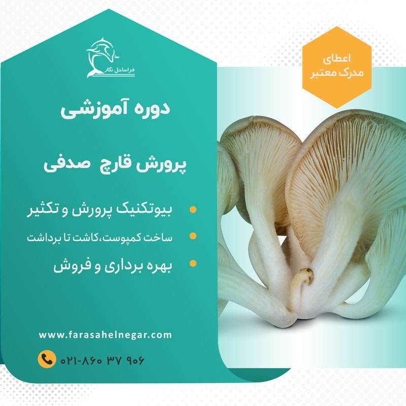 دوره-آموزشی-قارچ-صدفی