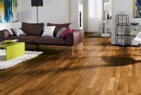 parket-article
