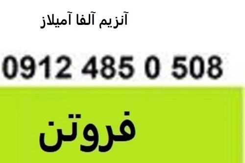 7777