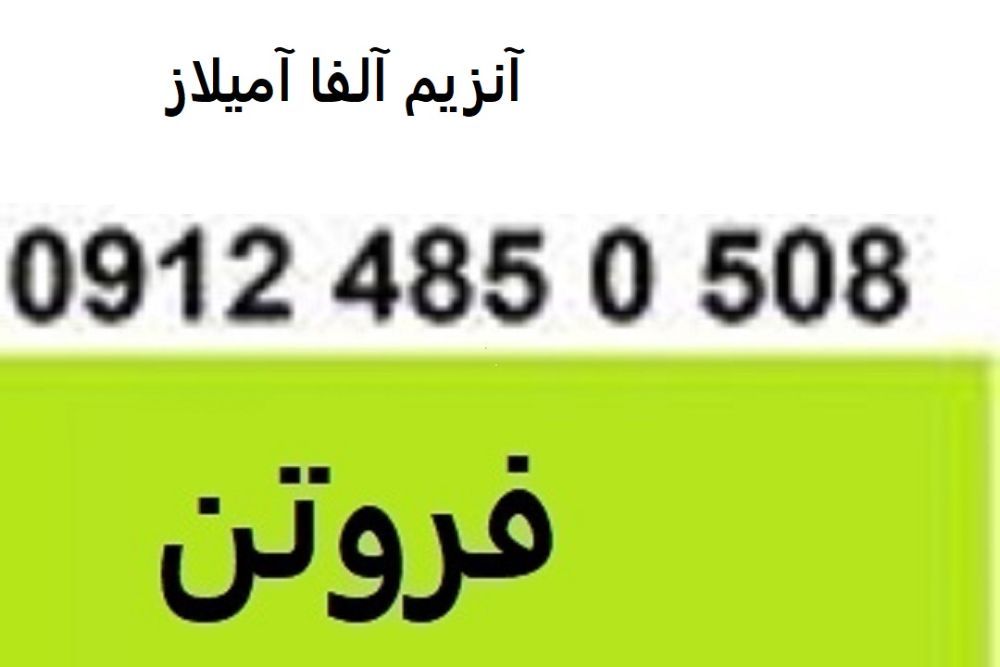 7777