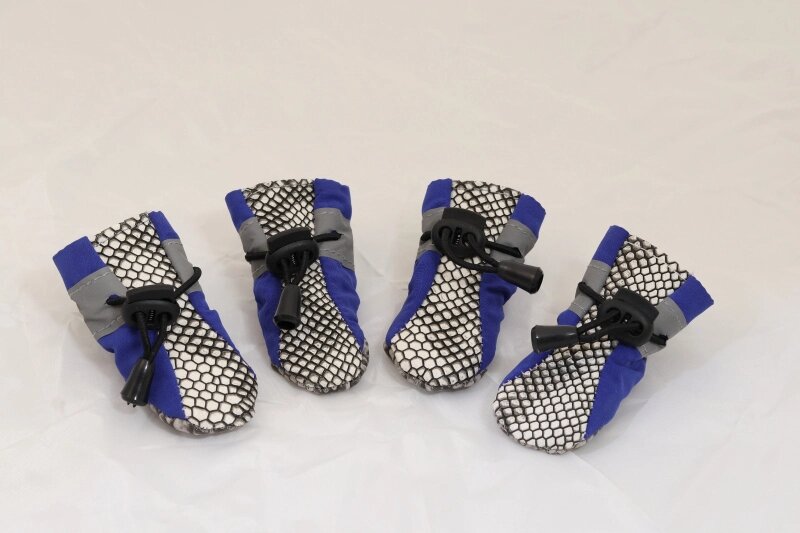 dog-leather-shoes