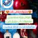 آب مقطر خالص و فوق خالص برند نابت