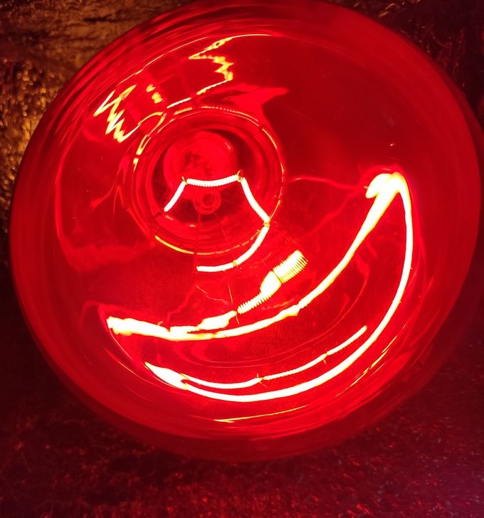 lamp2