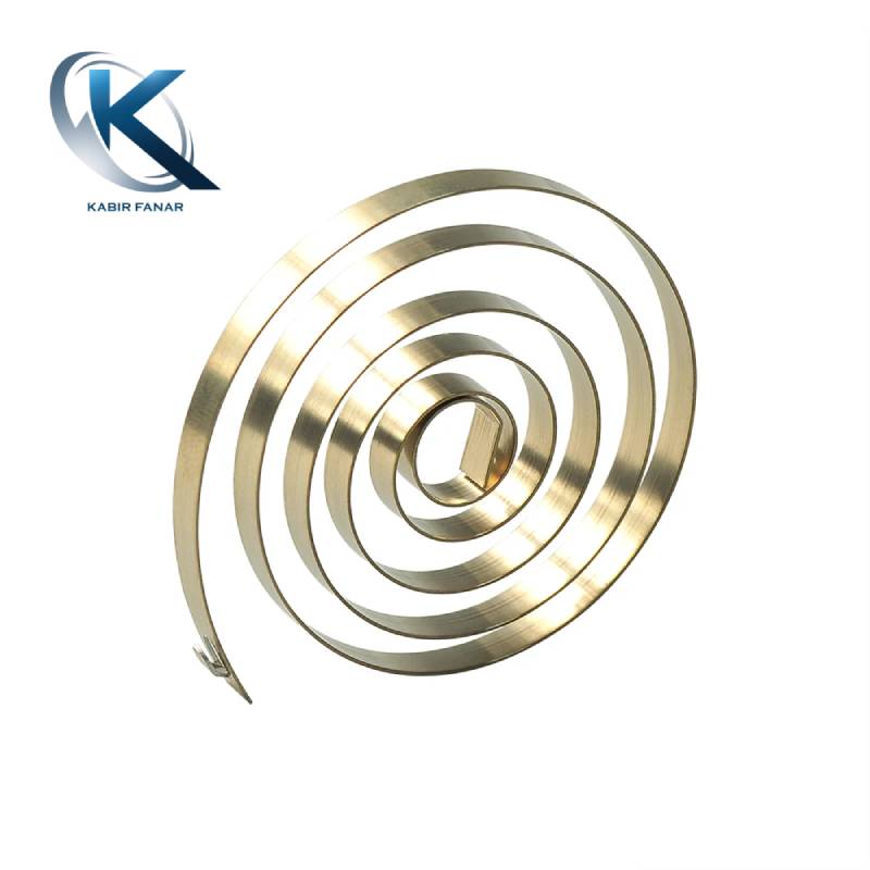 belt spring