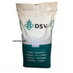 بذر چمن لولیوم پرنه DSV