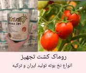 فروش نخ بوته گلخانه