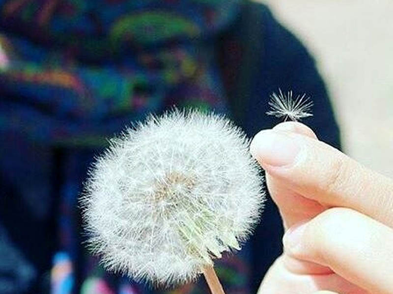 خوشبختی
