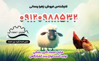 فروش سبد کشتارگاهی