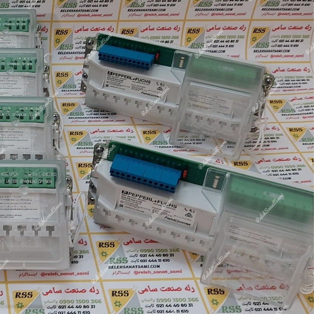 RD0-FB-Ex4.COM Pepperl+Fuchs پپرل فوکس relehsanatsami.com rss رله صنعت سامی (3)