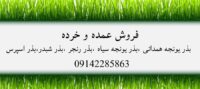 فروش بذر یونجه سیاه و بذر یونجه همدانی در کردستان