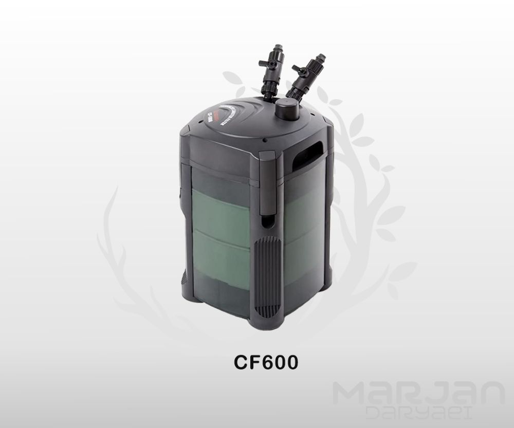 cf600