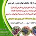 خرید نهال میوه اصلاح شده