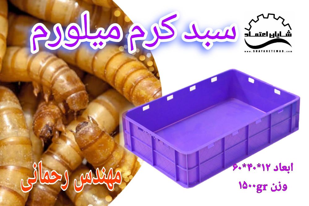 Picsart_24-02-19_15-41-47-276