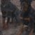 سگ روتوایلر – نماد قدرت و وفاداری – توله های اصیل - تصویر1