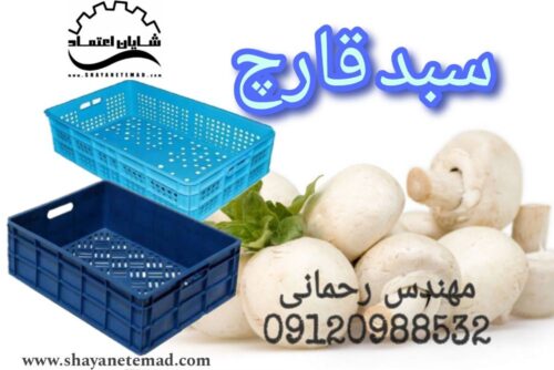 Picsart_24-02-14_16-47-55-266