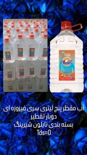 IMG_20240207_101648_251