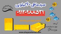 سبد ماهی و میگو