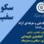 آموزشگاه موسیقی سکوت سفید اصفهان - تصویر2