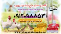 قفس حمل مرغ زنده و بلدرچین