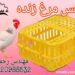 فروش سبد مرغ زنده با قیمت مناسب