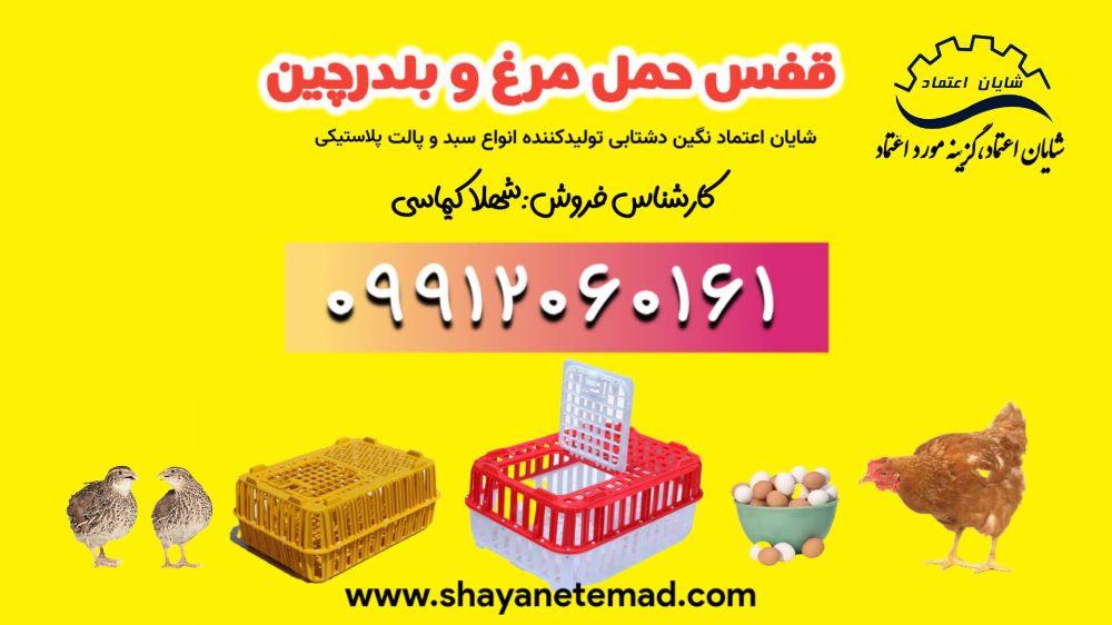 قفس مرغی