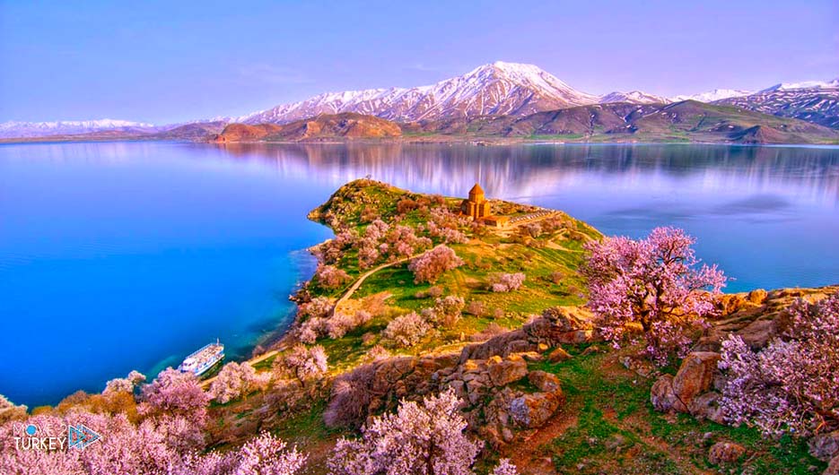 وان