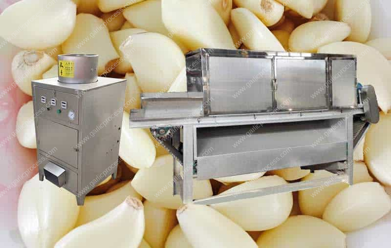 Cylinder-Drum-Type-Garlic-Peeling-Machine-and-Chain-Type-Garlic-Peeling-Machine