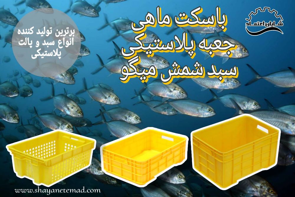 Picsart_24-04-25_11-54-04-466