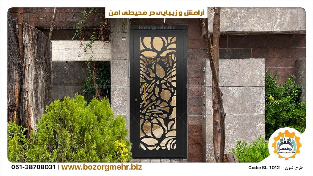 iron-door-gate-door-Lemon-Laser-Door-BL-1012-P03