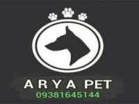 فروش سگ روتوایلر در تهران – پانسیون سگ آریا کنل