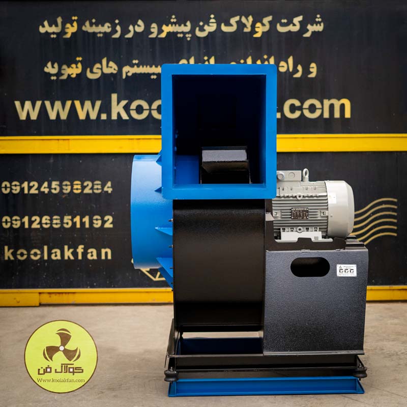 _DSC0732 copy