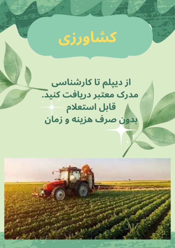 WhatsApp Image 2022-02-01 at 17.59.05
