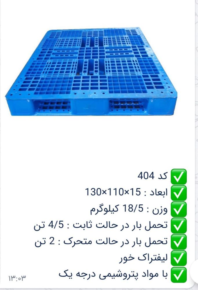 1000008058
