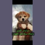 b3f2fdd6-9269-4b63-8320-7faeddac2229