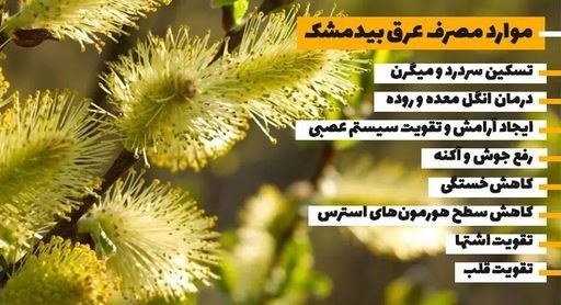 عرق بید مشک