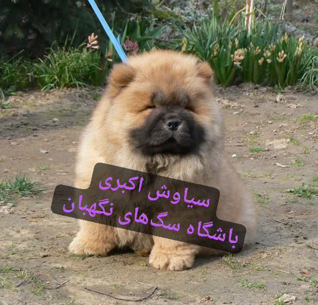 470a0213-ab96-4358-8bbf-5833f33ac483
