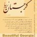 كتاب آموزش زبان گرجی و اطلاعات کاربردی گرجستان