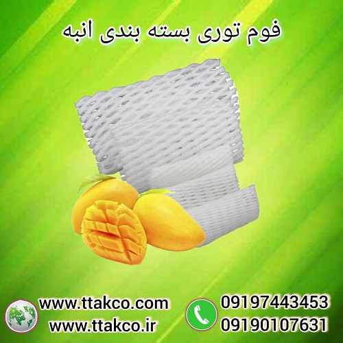 IMG-20240515-WA0007