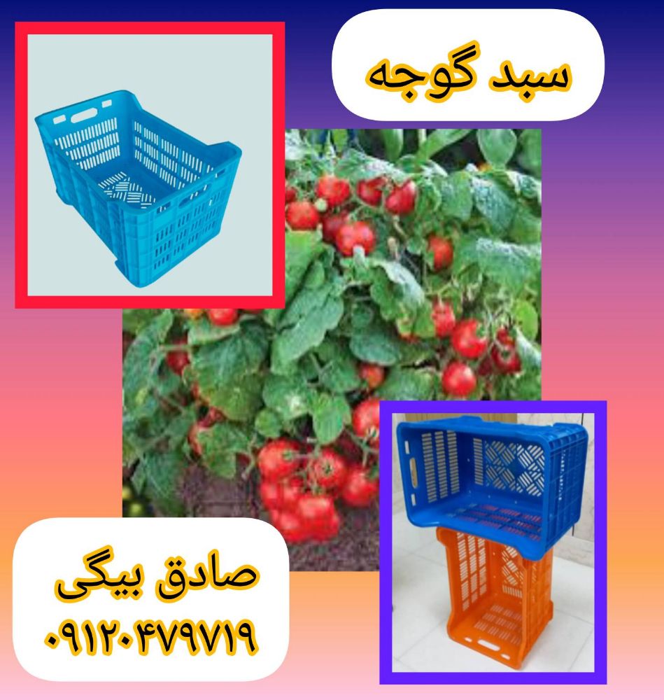 InShot_۲۰۲۴۰۶۱۱_۱۵۲۱۴۰۸۹۸