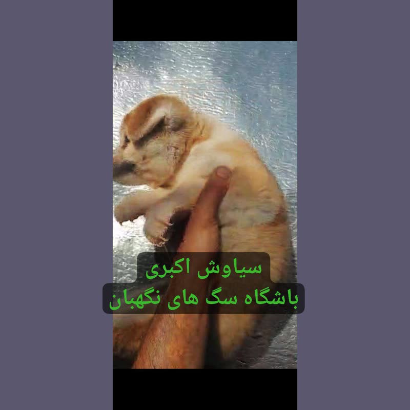 f1962e67-5fb0-4a25-8e90-31a9eb73df2b