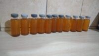 IMG-20220326-WA0032