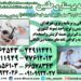 اعزام مراقب و پرستار  بیمار در بیمارستان با تضمین