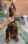 IMG_20231022_120620_125