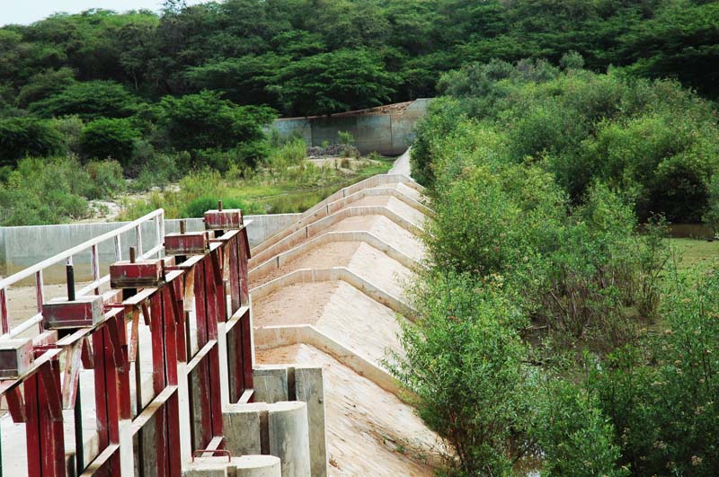 laleche_photos_080211_42
