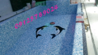 1000011582