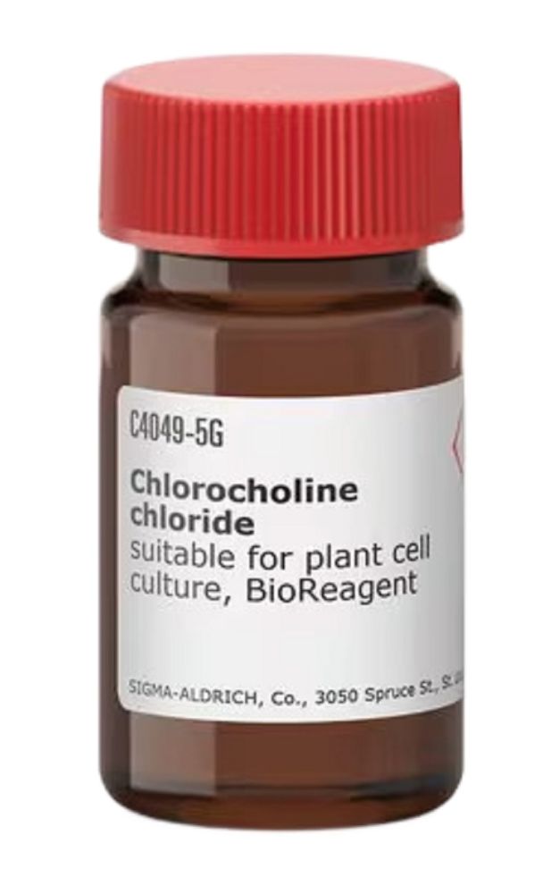 ccc