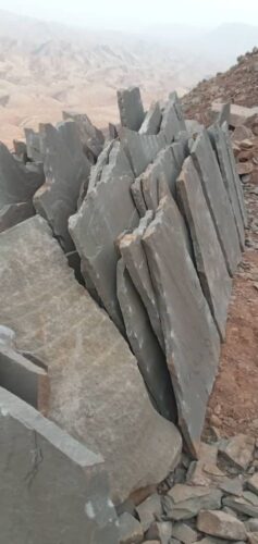 1000027853